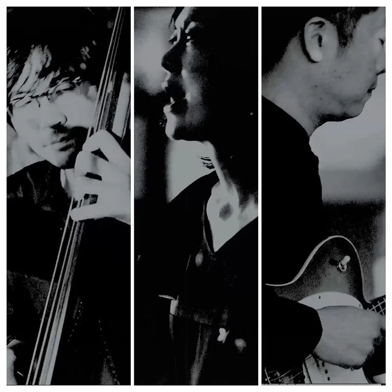 Asa（vo） シオミテツオ（g） 大岩宏（b）