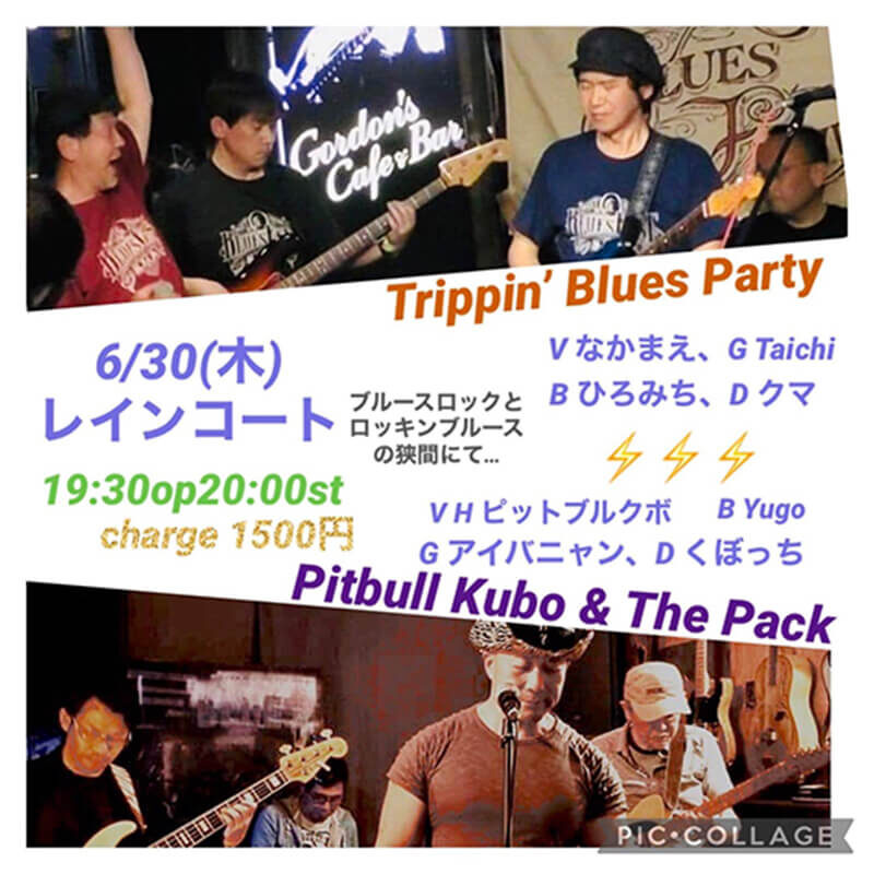 Pitbull Kubo & the pack × Trippin' Brues Party