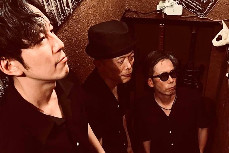 The Pythons 
